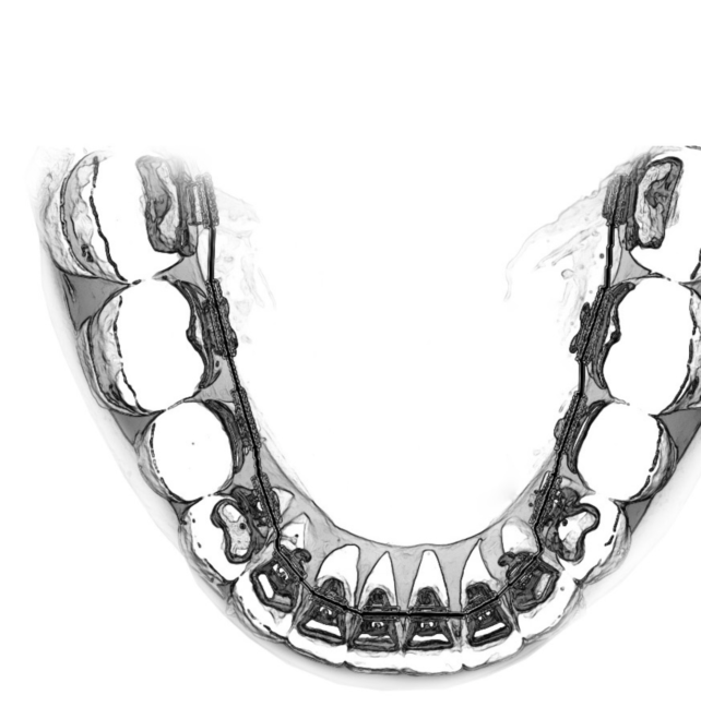 Blog - Dr Erfan Salloum