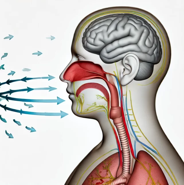 Blog - Dr Erfan Salloum