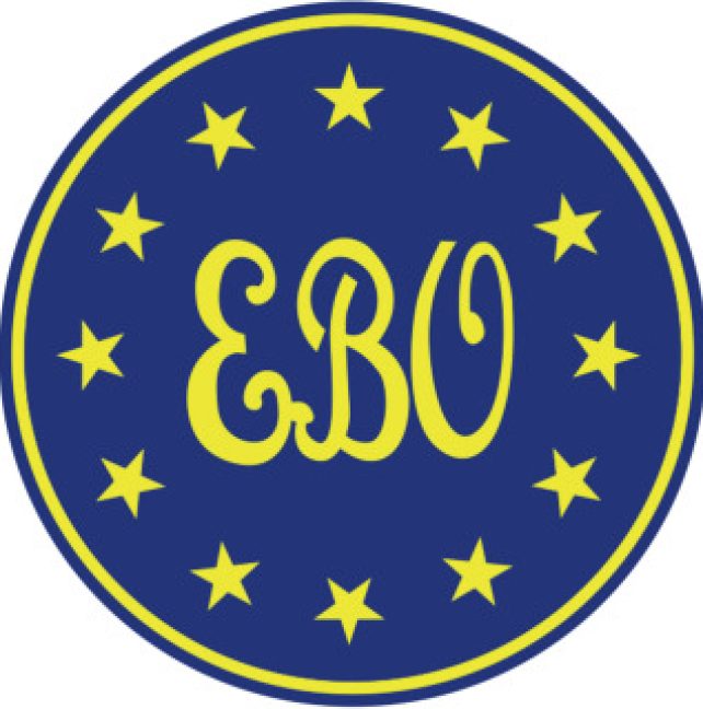 EBO Diplomate Orthodontist Dublin Dr Erfan Salloum